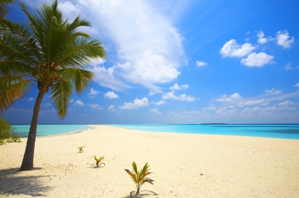 Maldives island