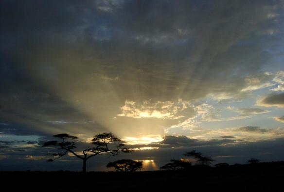 serengeti sunset tanzania