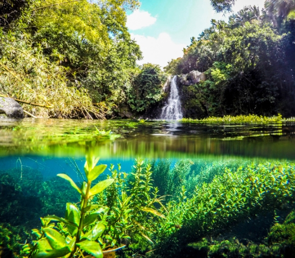 Eau-Bleue-Waterfall-Mauritius-9